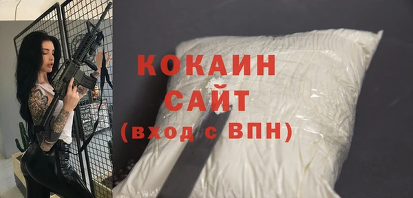 первитин Михайлов
