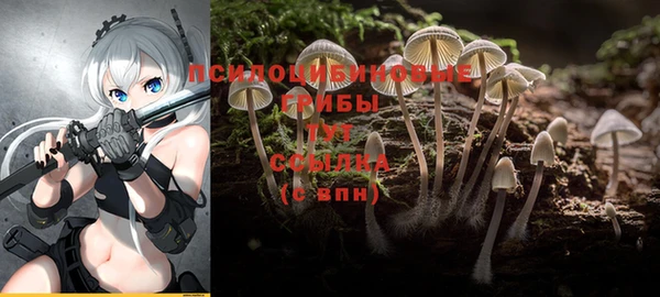 MDMA Premium VHQ Михайловка