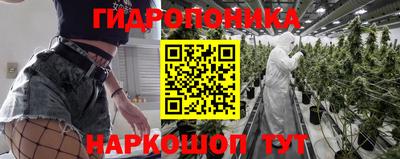 кокаин Гатчина
