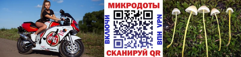 Псилоцибиновые грибы Psilocybine cubensis  купить наркотики цена  Стерлитамак 