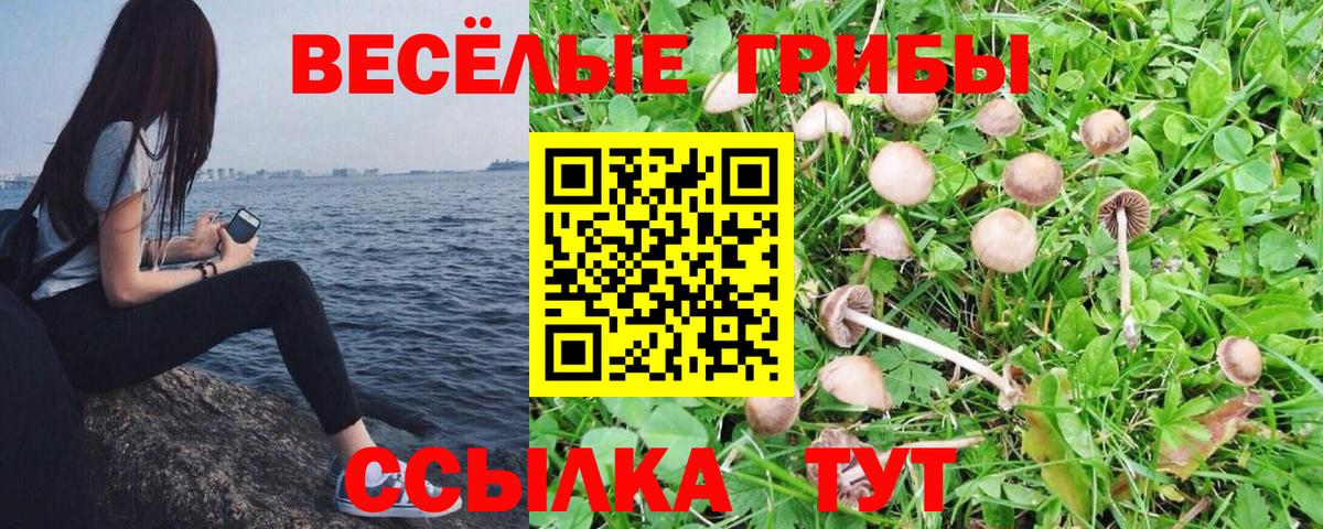 Псилоцибиновые грибы прущие грибы  Вход с VPN  Стерлитамак 